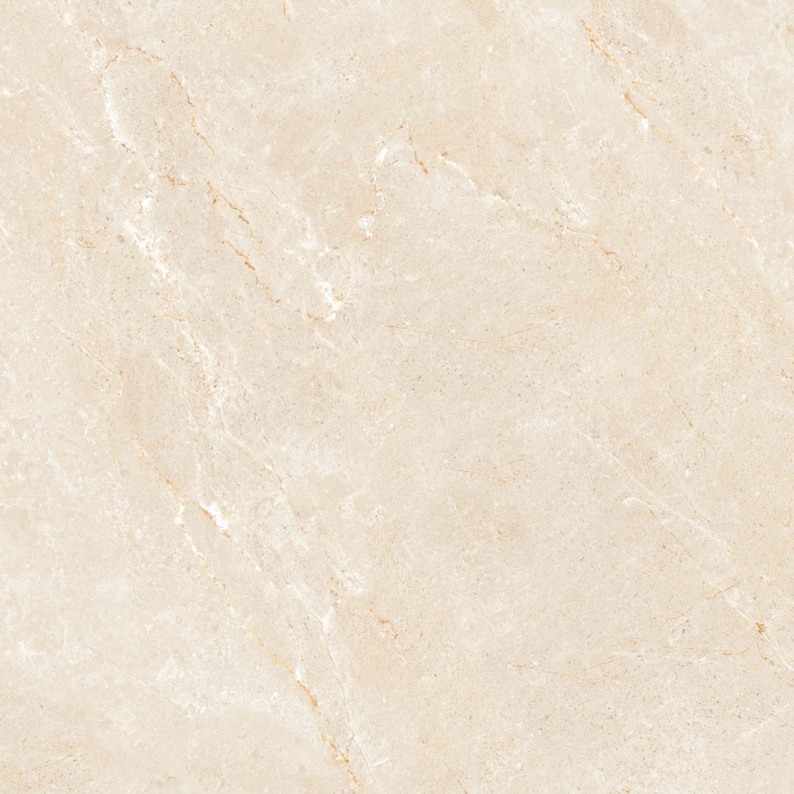 PLATINUM 60X60 REC SARDINIA CREAM